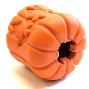 Jack -O- Lantern Durable Chew Toy