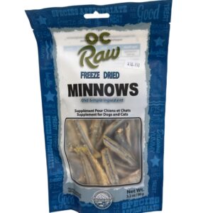 minnow bucket