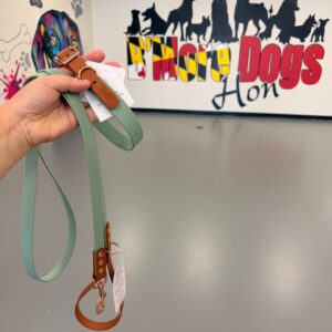 Two-tone Biothane leash