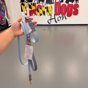 Leash - Collar combo