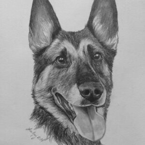 Two Dogs