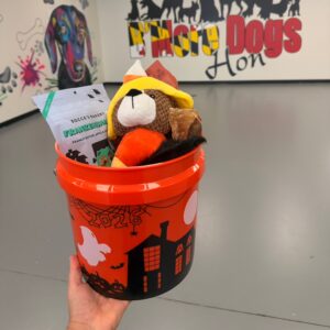 Halloween bucket
