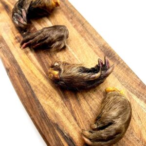 Beaver Paw