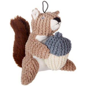 Squirrel Dog Toy