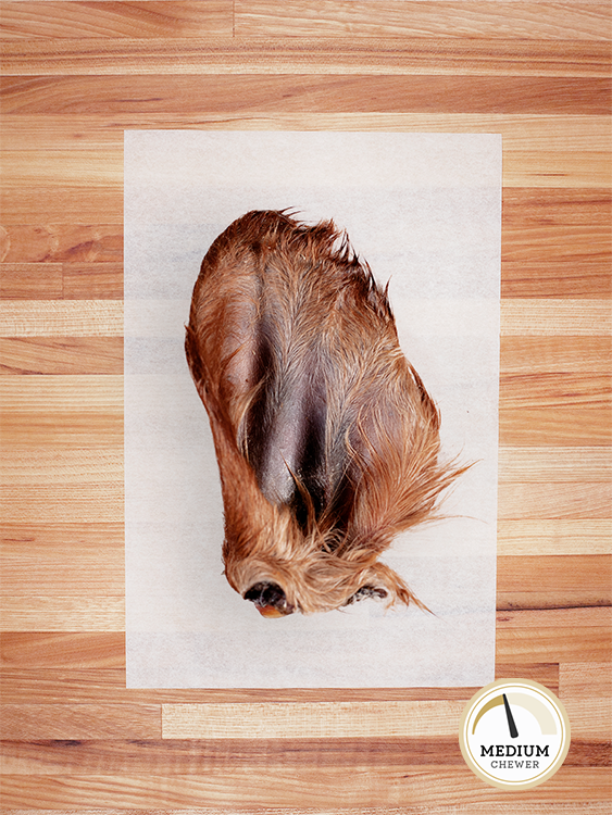 Cow Ear with Hair
