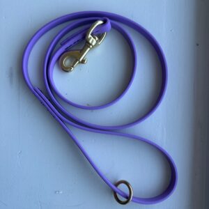 4ft biothane leash