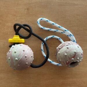 Ball on string