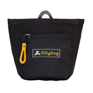 Olly dog treat pouch