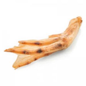 1 duck foot